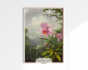 Vintage roze orchideeolieverfschilderij | Kolibrie kunstafdruk | Gebloemde muurkunst | Afdrukbare botanische muurkunst | DIGITALE DOWNLOAD | P454