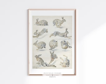 Pintura vintage em aquarela de estudo de lebre em tons neutros de bege, cinza e creme para decoração de casa | Download digital instantâneo | P410
