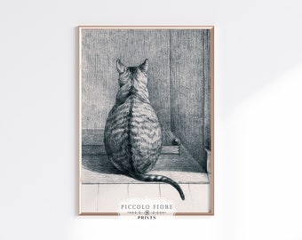 Vintage Cat Black and White Sketch | Cat Study Art Print | Cat Lover Wall Art | Antique Affordable Printable Art | DIGITAL DOWNLOAD | P215