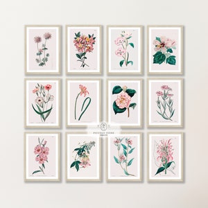 Vintage Floral Wall Art Prints | Pink Gallery Wall SET | Botanical Illustrations | Pink Home Decor | 12 Prints | Instant DOWNLOAD | S12-2