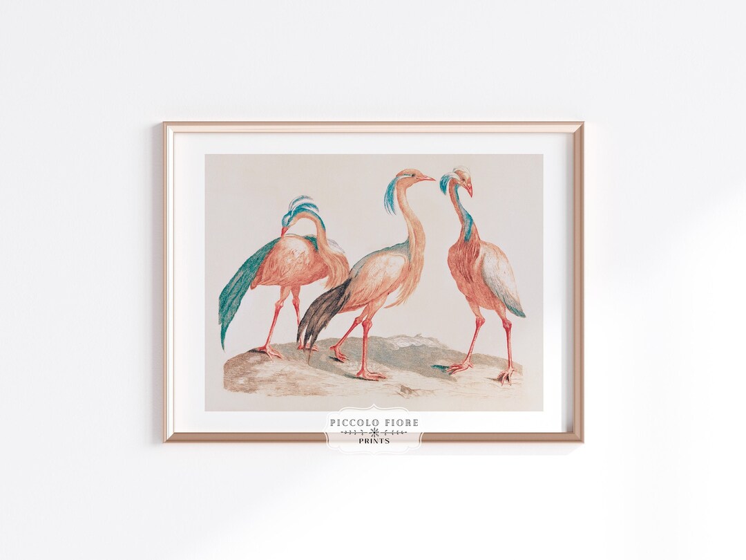 Pastel Pink and Blue Vintage Crane Watercolour Painting Art Print ...