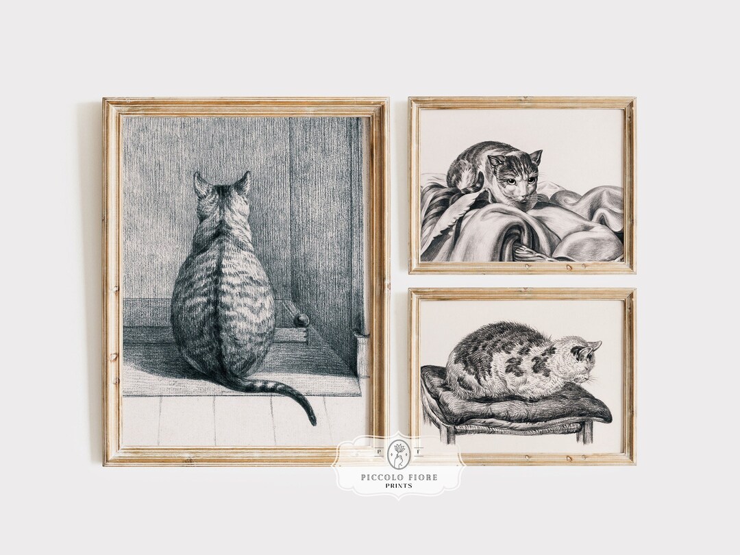 Cat Gallery Wall SET | Black and White Sketches | Antique Printable ...