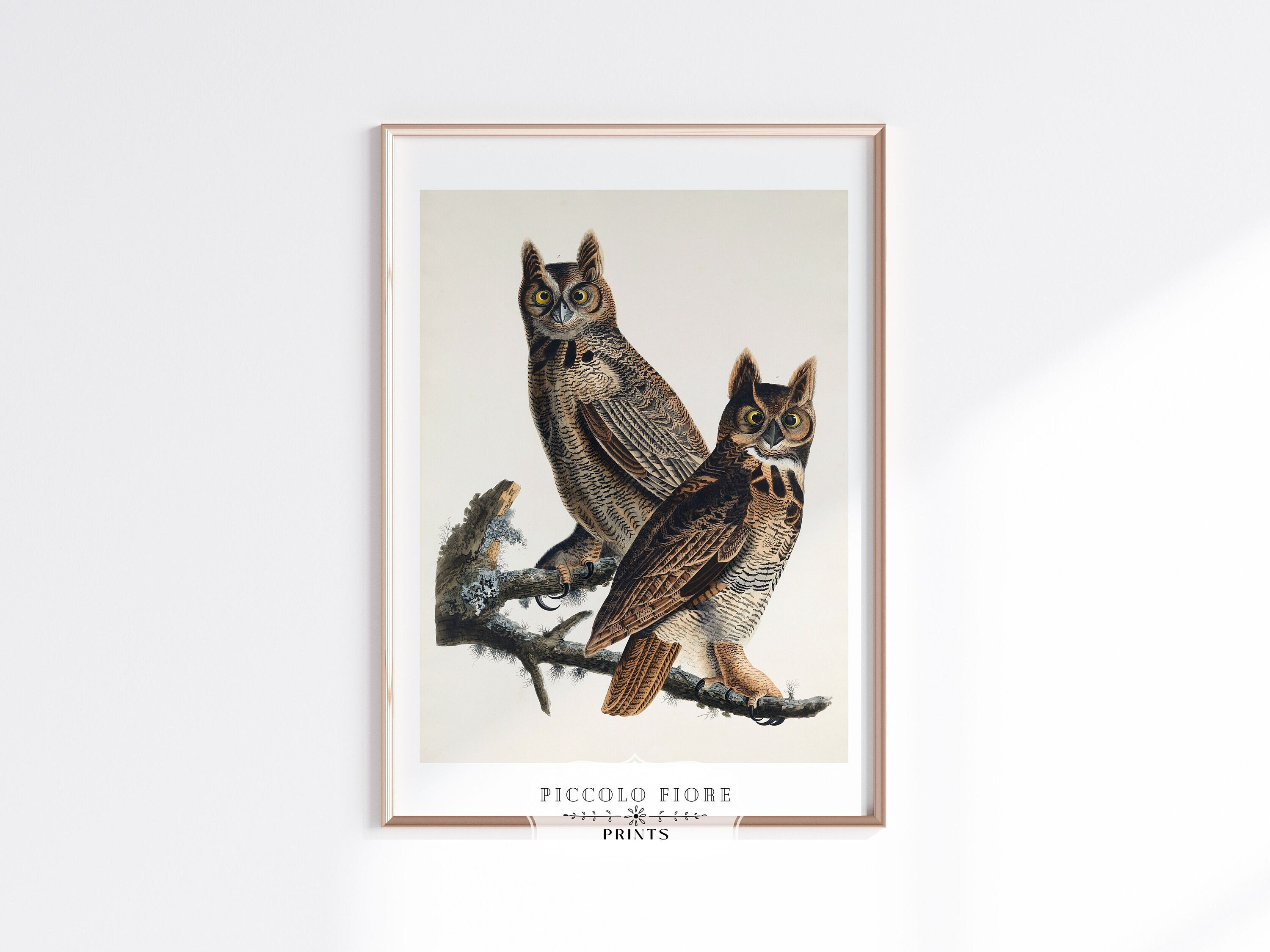 Vintage Great Horned Owl Illustration Art Print | Owl Wall Art ...