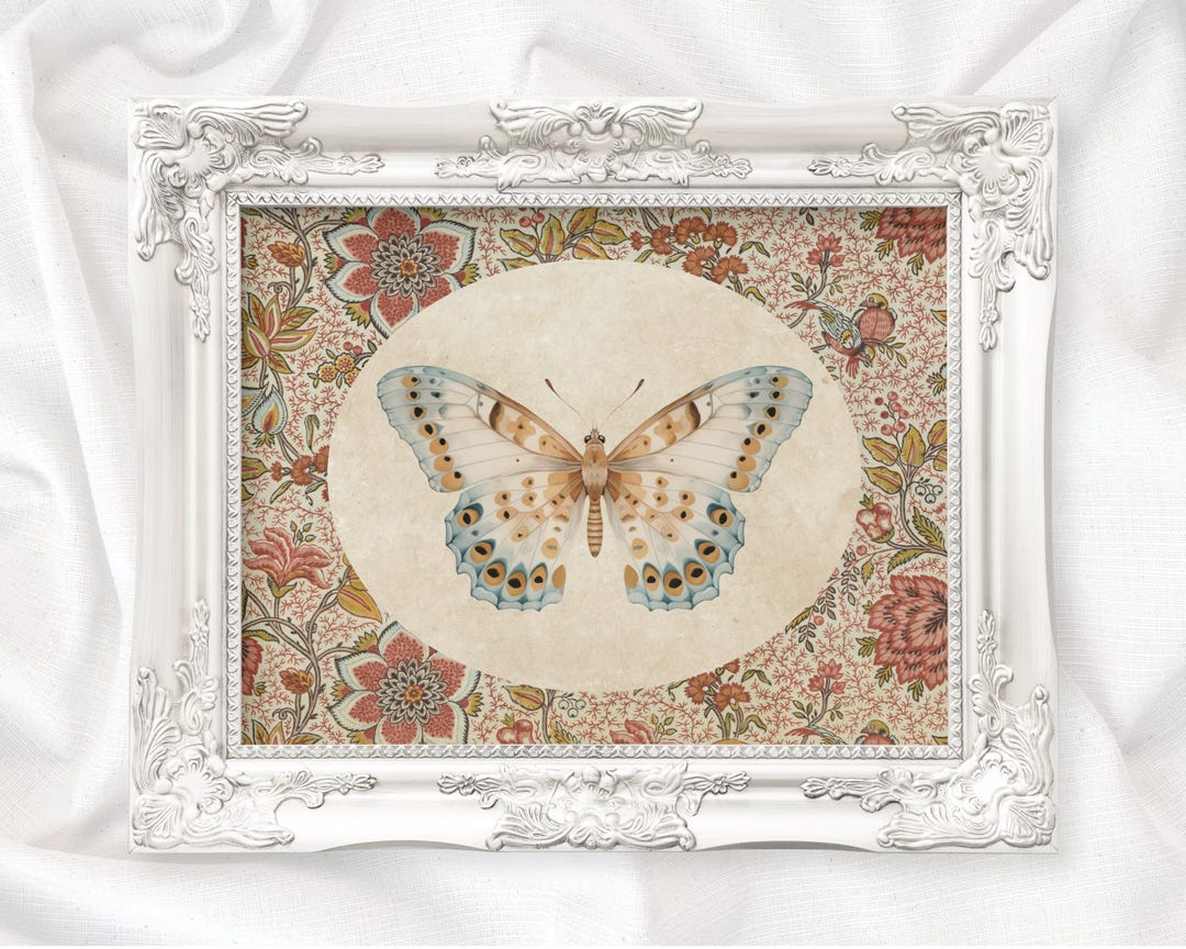 Vintage Butterfly Illustration Art Print, Cottagecore Butterfly Wall ...