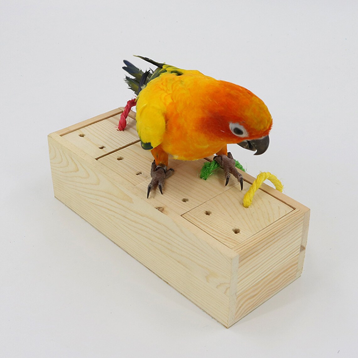Parrot toys parrot building blocks food toys educational Etsy