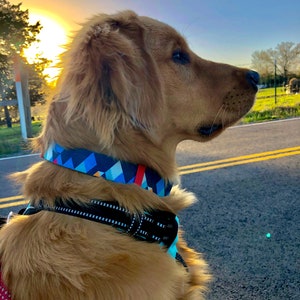 Engraved Metal Buckle Dog Collar Geometric design