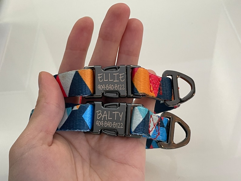 Engraved Metal Buckle Dog Collar Geometric design