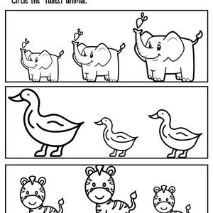 Puede incluir: Una hoja de trabajo en blanco y negro con la instrucción "Circula el animal más alto." Se muestran tres conjuntos de animales: elefantes, patos y cebras. El animal más alto de cada conjunto está circulado.