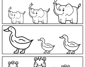 Shortest/Tallest  Worksheets