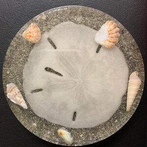 Puede incluir: Un posavasos redondo de resina transparente con un dólar de arena y varias conchas incrustadas en su interior. El posavasos tiene un fondo moteado gris y blanco.