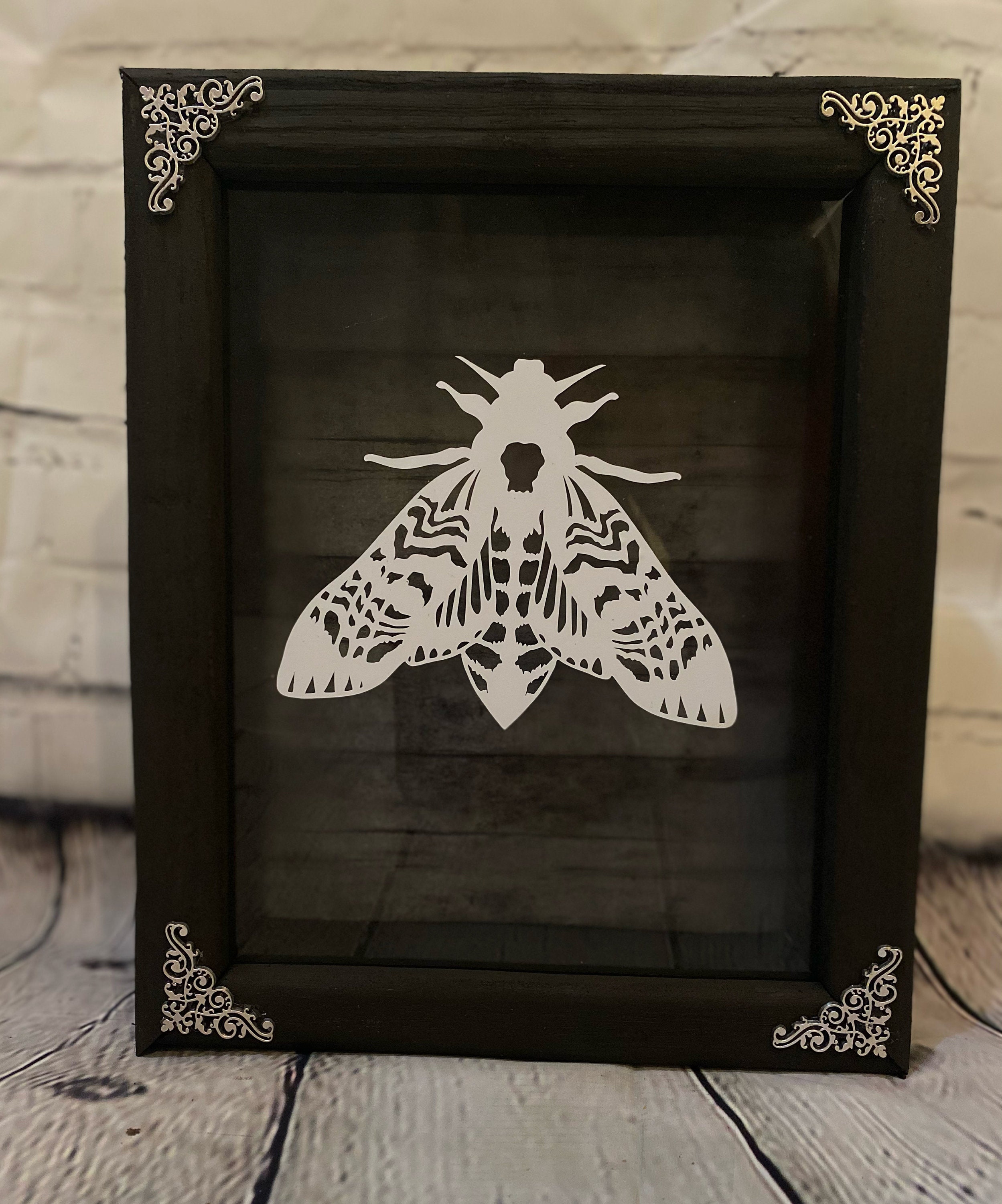Moth shadow box Etsy