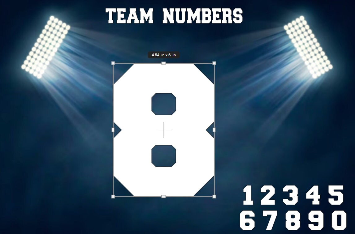 Team Number Build Label Vinyl Decal: Sports Number / Team Number Vinyl Decal / Water Bottle ...