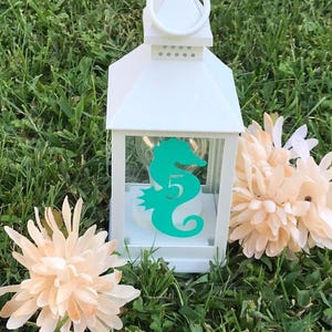 May include: White lantern with a teal seahorse silhouette and the number 5 inside. The lantern is sitting on a bed of green grass with two peach-colored flowers.