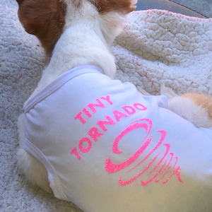 May include: A white dog wearing a white tank top with pink glitter lettering that says "Tiny Tornado".