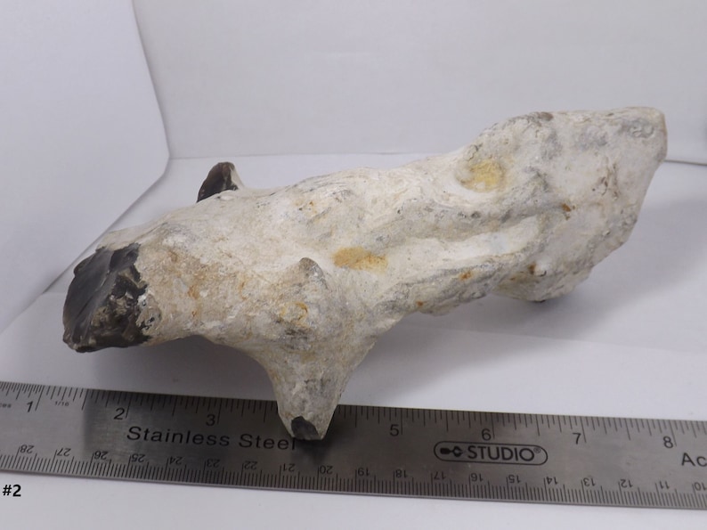 Flint Knapping Parcel, Large Pieces of Black Flint/chert