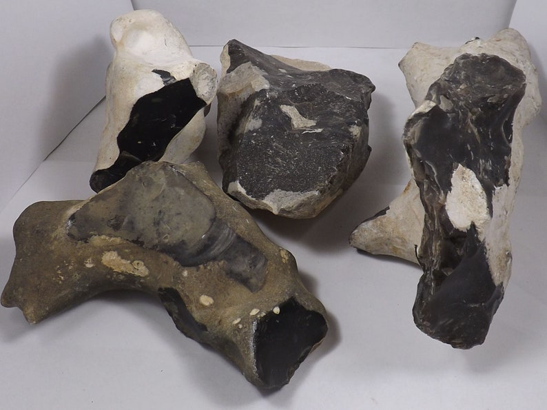 Flint Knapping Parcel, Large Pieces of Black Flint/chert