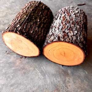 May include: Two sections of a tree trunk with rough, dark brown bark and a light brown, circular interior. The cut ends reveal the wood's grain. The logs are likely for decorative or craft purposes.