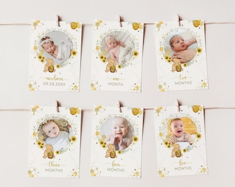 Classic Winnie The Pooh First Birthday Photo Banner Editable Template, Pooh Birthday Baby's First Year Banner, 1st Birthday Banner BD30