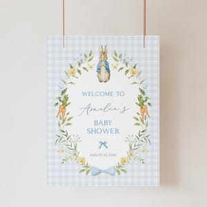 May include: A baby shower sign with a blue and white gingham background. The sign features a watercolor illustration of Peter Rabbit, a floral wreath, and the text "Welcome to Amelia's Baby Shower". The date is August 23, 20XX.