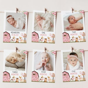 Farm Animals FARM BIRTHDAY First Birthday Photo Banner Editable Template,Barnyard Birthday Baby's First Year Banner,1st Birthday Banner BD36