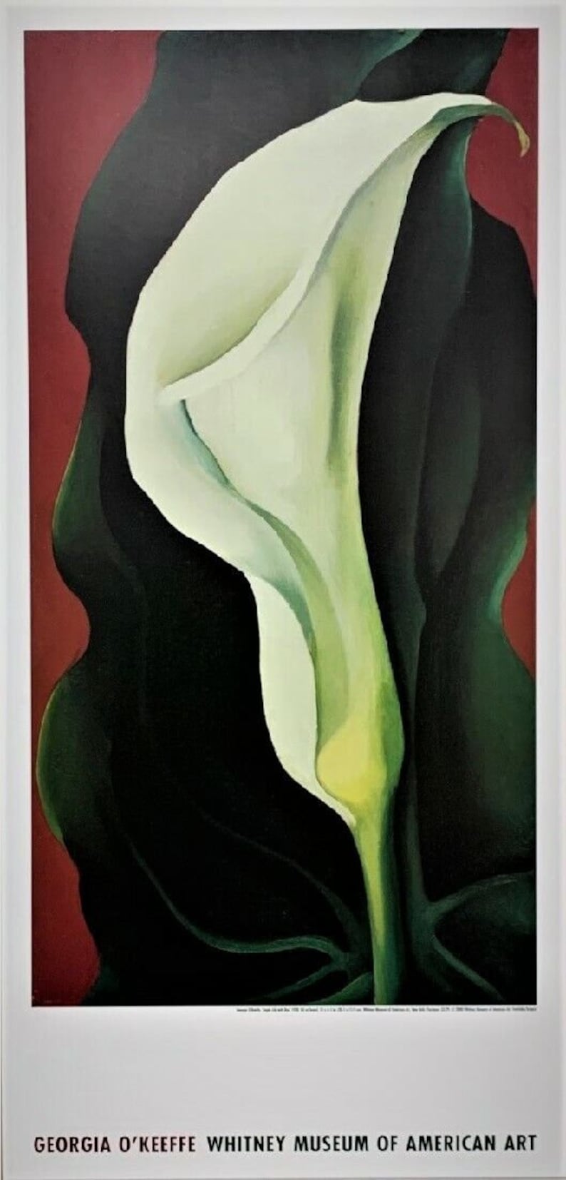 Okeeffe single Lily With Red 1928 Whitney Etsy