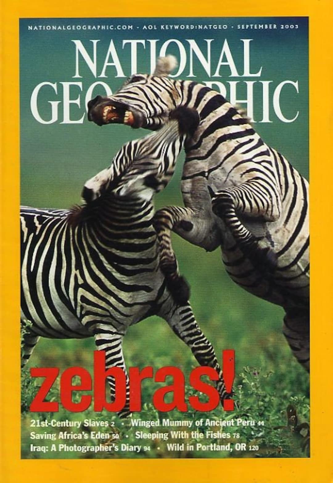 National Geo. 9/03 Zebras - Etsy