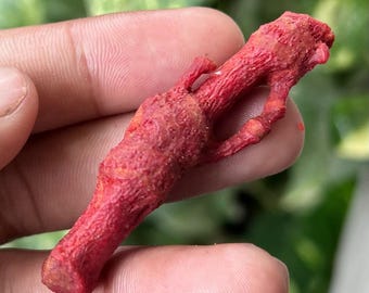 Raw Red Coral Stone: 35.50ct Uncut Mediterranean Gemstone
