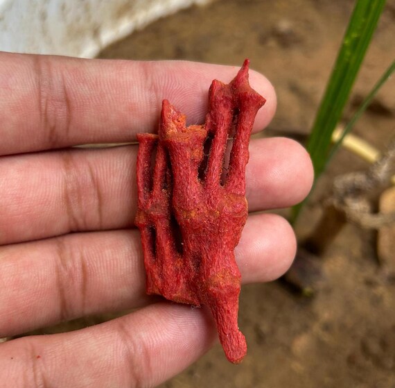 Pierre Précieuse En Corail Rouge Naturel Poli - Forme Branche, 20 Carats, Qualité Exceptionnelle, Provenance Italie/Inde