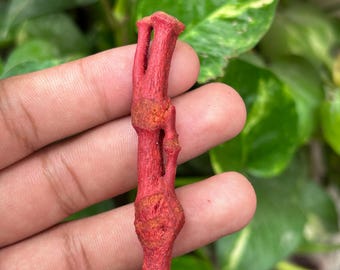 30ct Red Coral Raw Stone: Natural Mediterranean Gemstone
