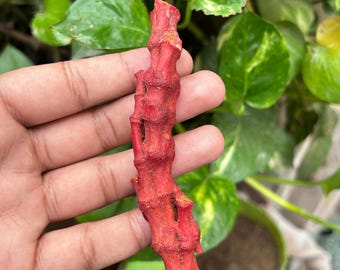 Raw Red Coral Stone: 109ct Uncut Mediterranean Gemstone