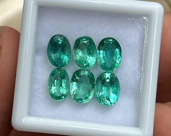 May include: Six oval-cut emerald gemstones displayed in a white plastic case. The gemstones are a vibrant green color and are arranged in two rows of three. The case is held by a person's hand.