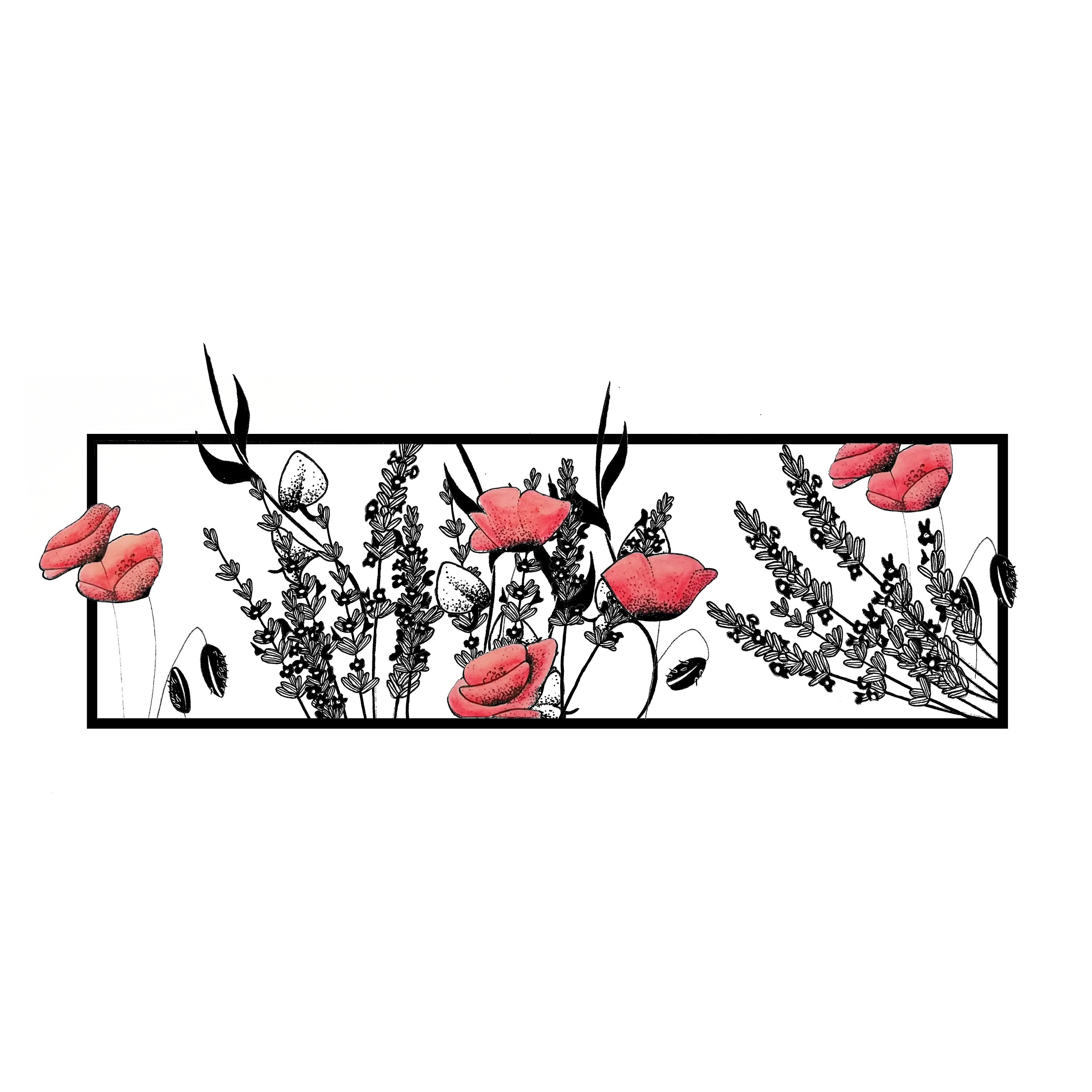 Illustration en Noir, Blanc, Rouge Du Printemps Drôme. Dessin Fleurs, Coquelicots, Lavandes, Genêts.