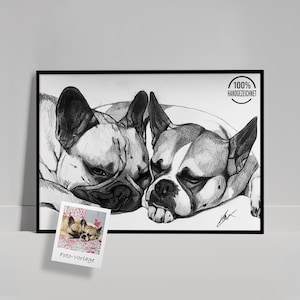 Könnte beinhalten: Eine schwarz-weiße Bleistiftzeichnung von zwei nebeneinander liegenden Französischen Bulldoggen. Das Kunstwerk enthält einen kreisförmigen Stempel in der oberen rechten Ecke mit dem Text 100% HANDGEZEICHNET und eine kleine Fotovorlage mit der Aufschrift Foto-Vorlage.