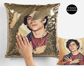 funny reversible sequin pillow