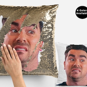 Dan levy sequin pillow cover, celebrity sequin pillowcase, funny dan levy flip sequin pillow case, dan levy meme throw pillow gifts