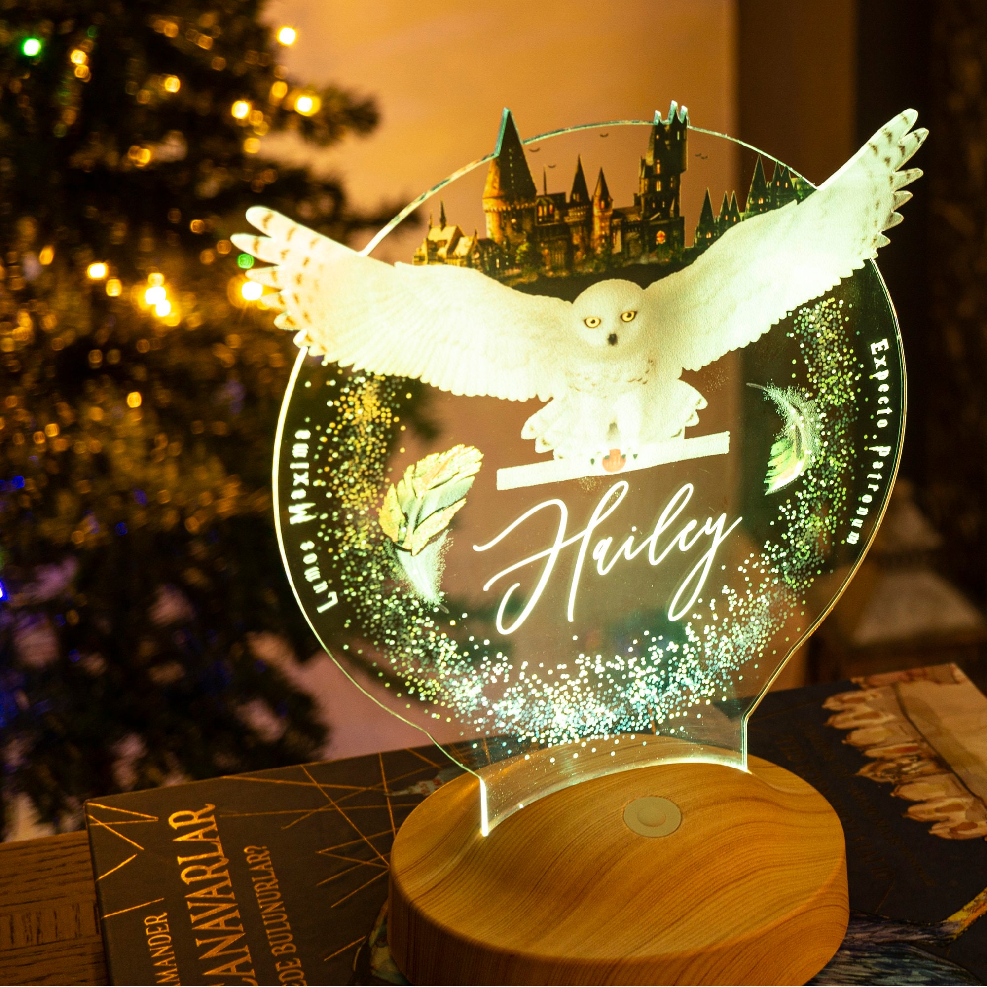 Lampe - ABYSSE - Harry Potter - Énigme des Fioles de Potion - 30 cm