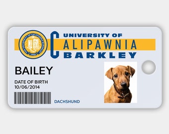 Custom UC Berkeley-inspired pet dog ID tag (pack of 3s) | UC Barkley | Personalization