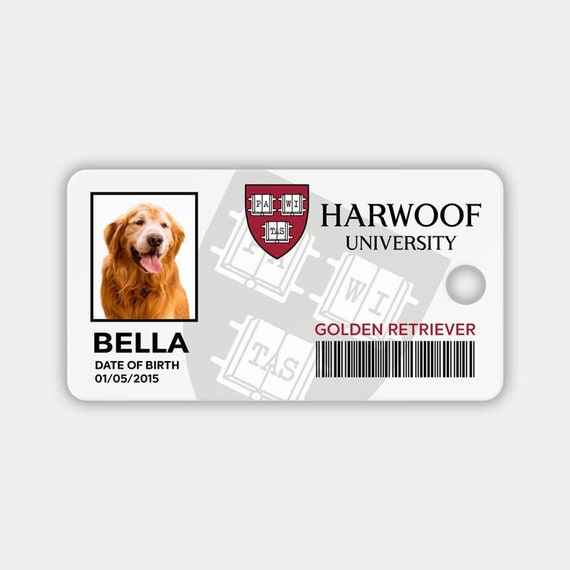 Harvard University Id Card