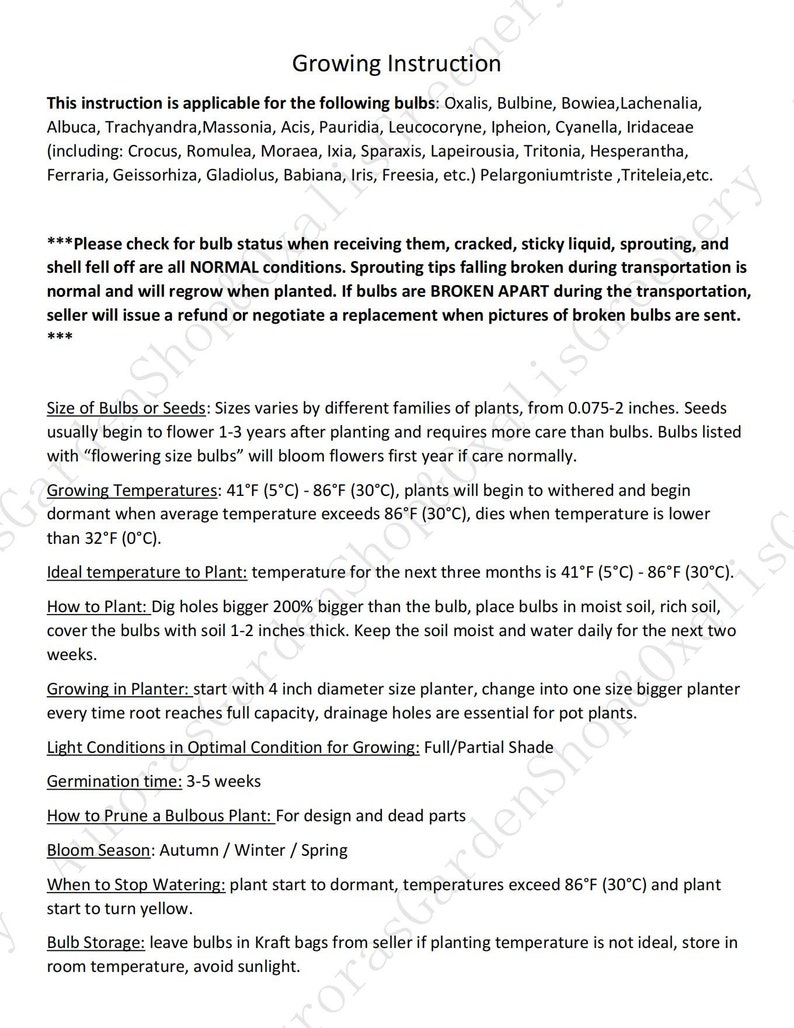 May include: A white document titled Growing Instruction containing black text detailing care for various plant bulbs. It lists bulb types, temperature ranges from 41&deg;F to 86&deg;F, planting depths of 1-2 inches, and planter sizes starting at 4 inches in diameter.