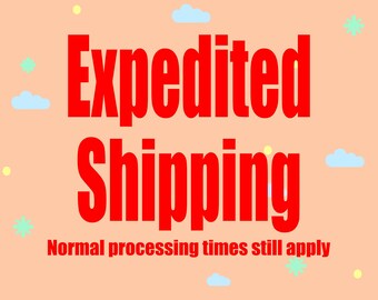 Expressversand