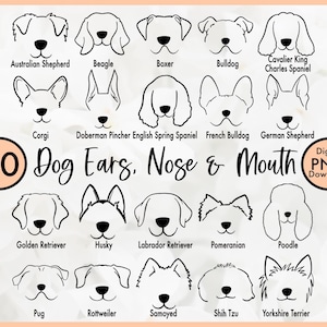 Hondenras handgetekende lijntekeningen PNG-bundel – 40 hond gezicht clipart oren neuzen monden - huisdier portret elementen voor voortplanten, Cricut, stickers