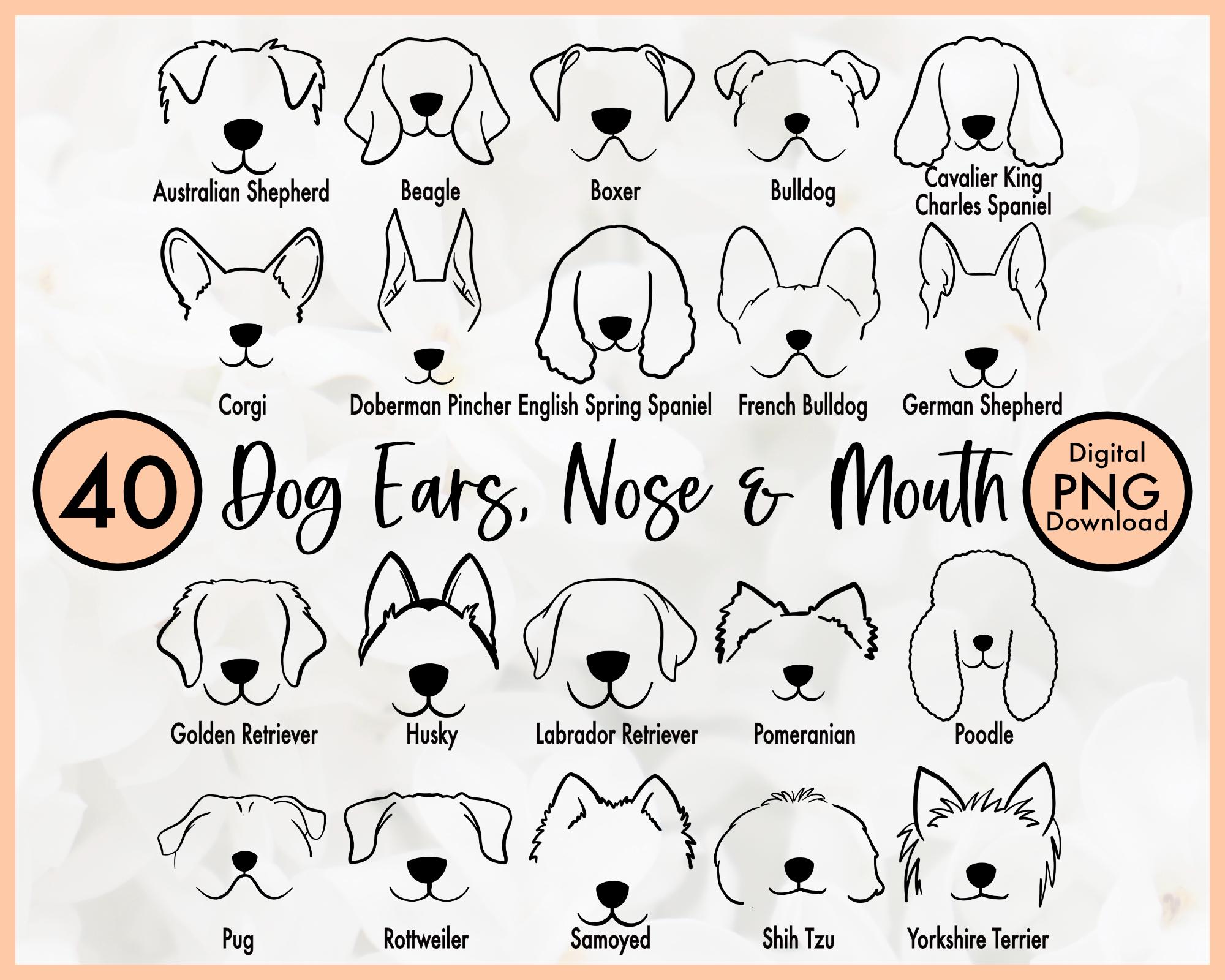 犬種の手描き線画PNGバンドル - 犬の顔のクリップアート40種類（耳、鼻、口） -  Procreate、Cricut、ステッカー用ペットポートレート素材 - Etsy 日本, image size:2000x1600