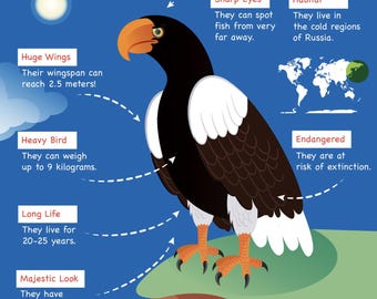 Stellers Seeadler Kunstdruck | Wildtier Illustration (Digitaler Download)