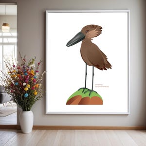 República Democrática del Congo: Mapa de aves de Hamerkop (descarga digital)