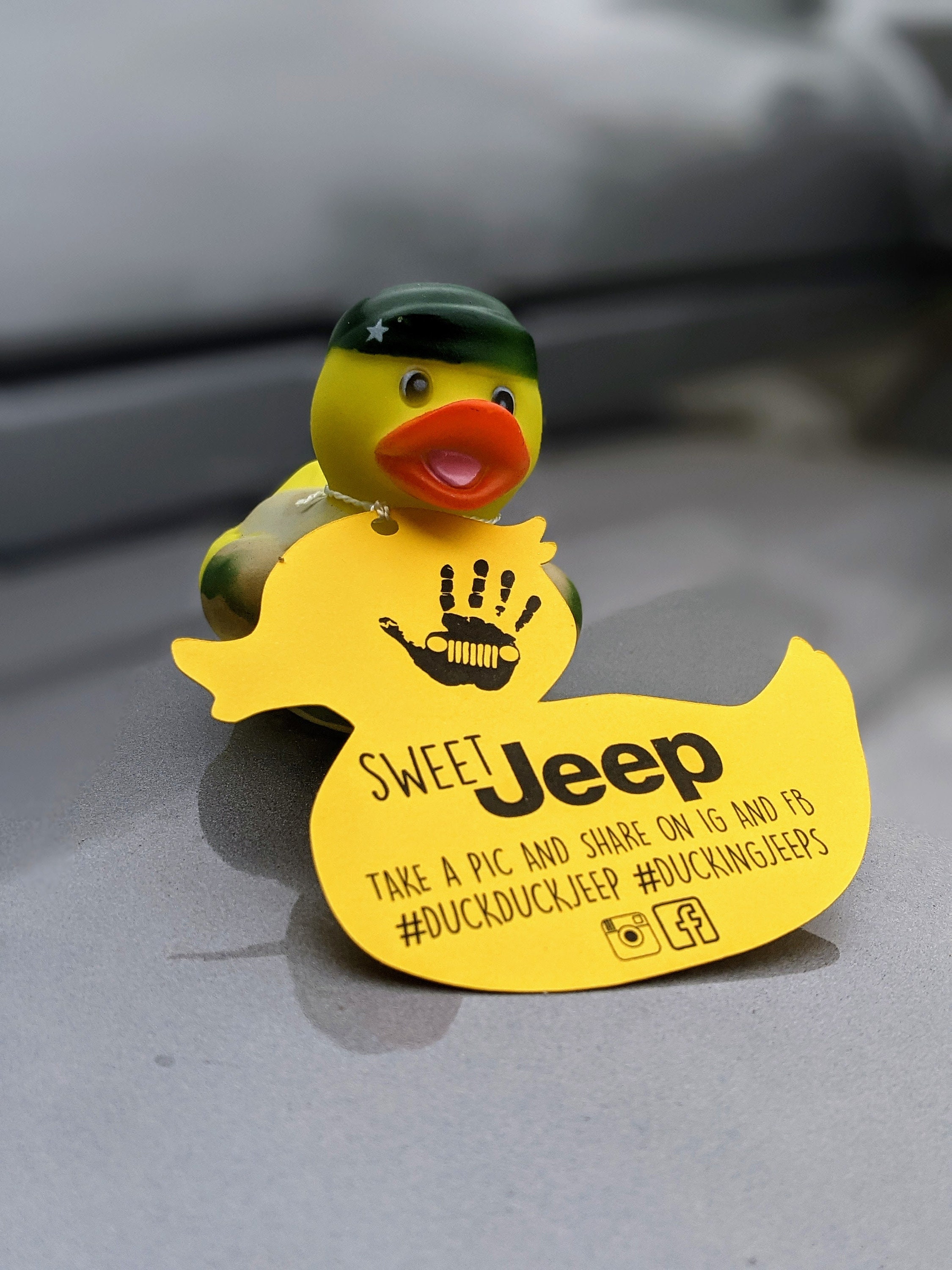 Duck Duck Jeep Tags Etsy