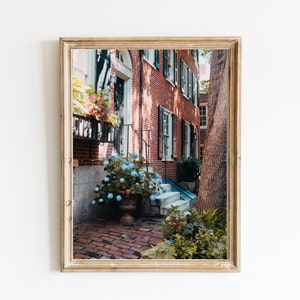 Hydrangeas American Street Philadelphia Wall Print, Blue Hydrangea,Bedroom Hydrangea Wall Decor, Hydrangea Poster and Gallery Wall