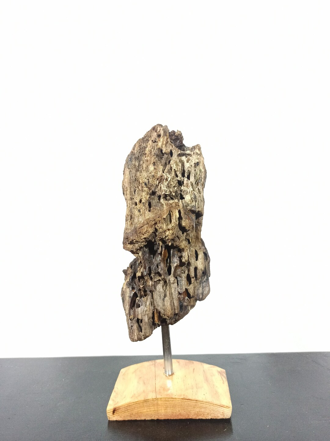 Tree Statue, Tree Root, Table Decoration, Original Object, Home Gift ...