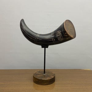 Afrikanisches gesticktes Wild-Ochs-Horn