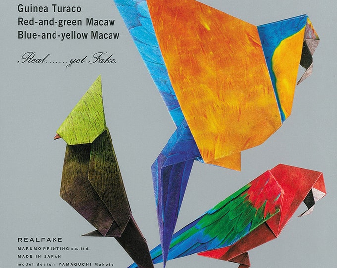Tagak Paper Origami Tropical Bird Paper Kit, Realistic Photographed Fur, 3D Paper ...