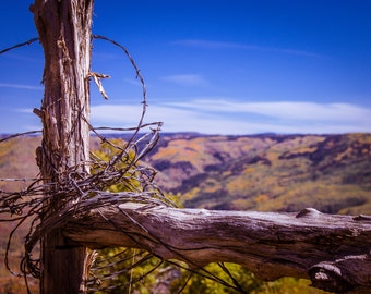 Old fence with barbed wire